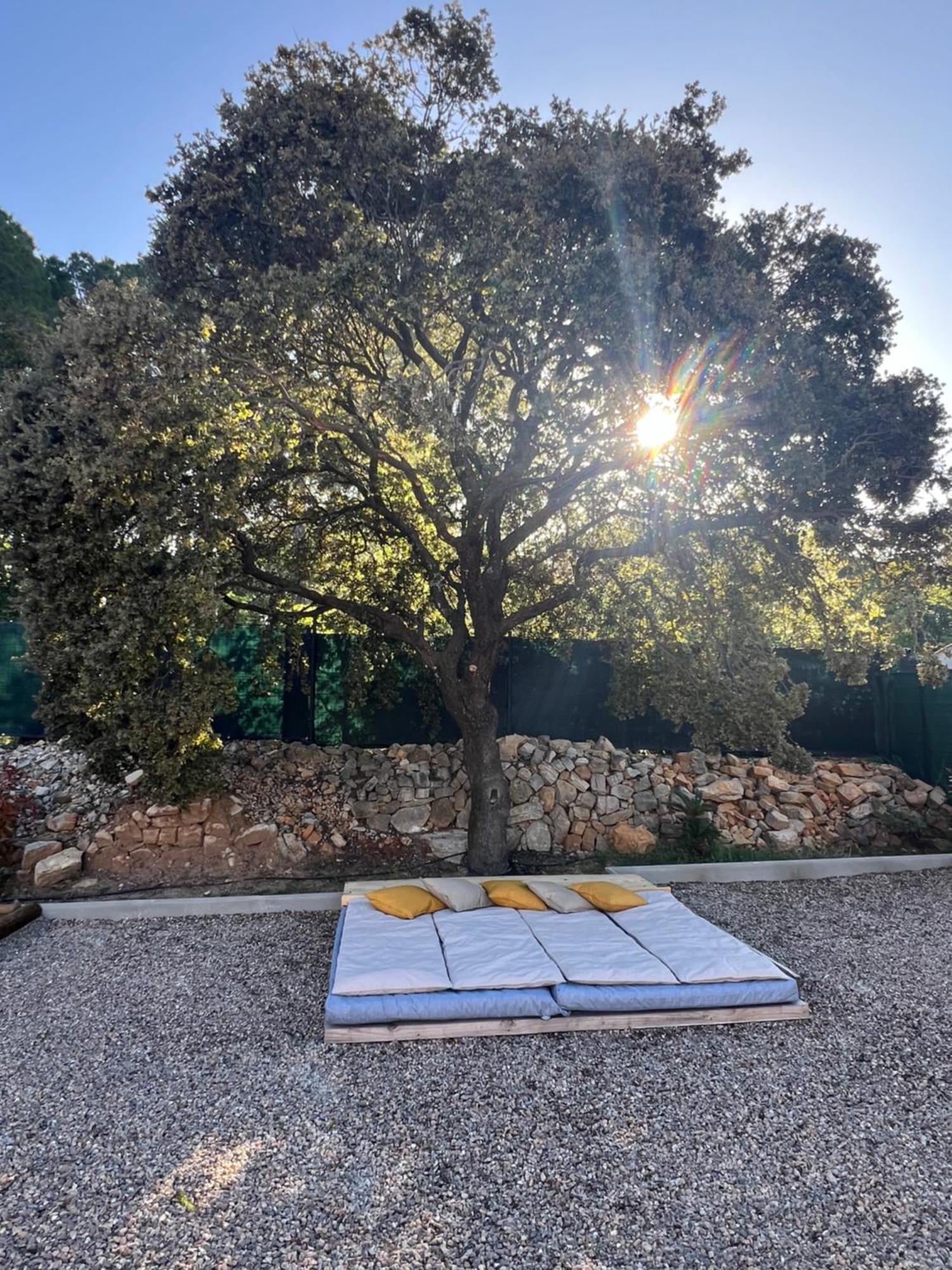 Ferienhaus La Provence Piscine Privee, Petanque Et Barbecue Les Arcs-sur-Argens