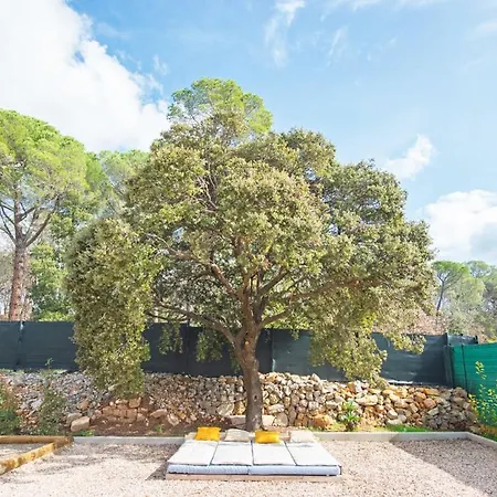 La Provence Piscine Privee, Petanque Et Barbecue Villa Les Arcs-sur-Argens Buitenkant foto